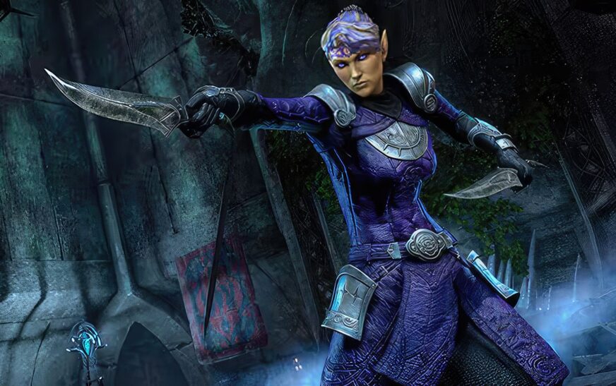 Elder Scrolls Online Developer Addresses Controversy Surrounding Non-Binary Companions